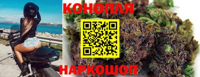 трава Лесосибирск