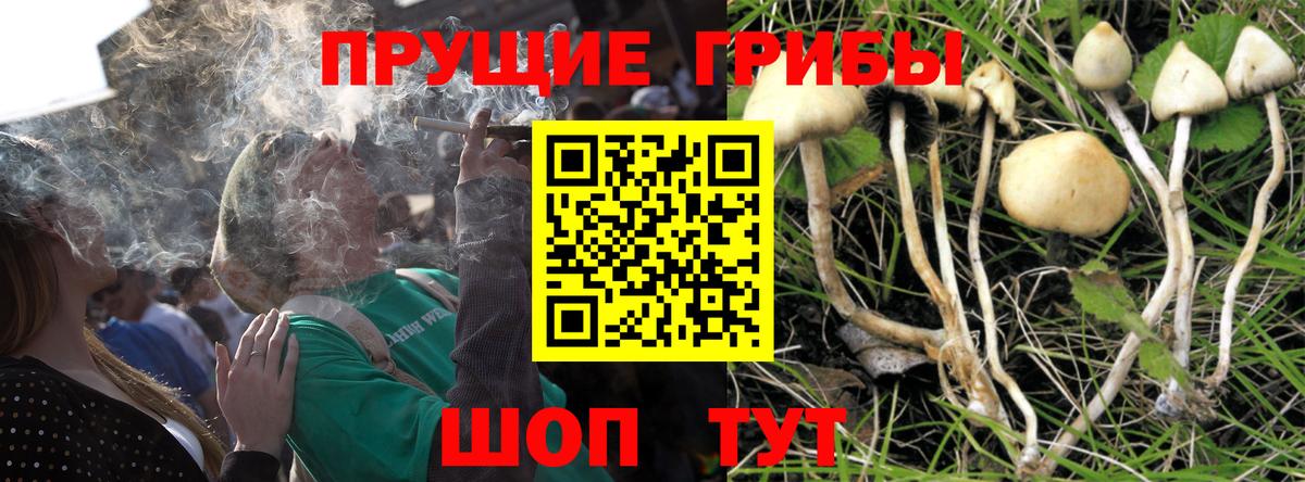 Галлюциногенные грибы Magic Shrooms  Вход с VPN  Тольятти 