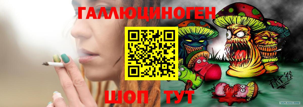 Псилоцибиновые грибы Psilocybine cubensis Тольятти